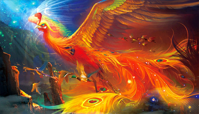 Nằm mơ thấy Phượng Hoàng có nhiều con số may mắn trong lô đề