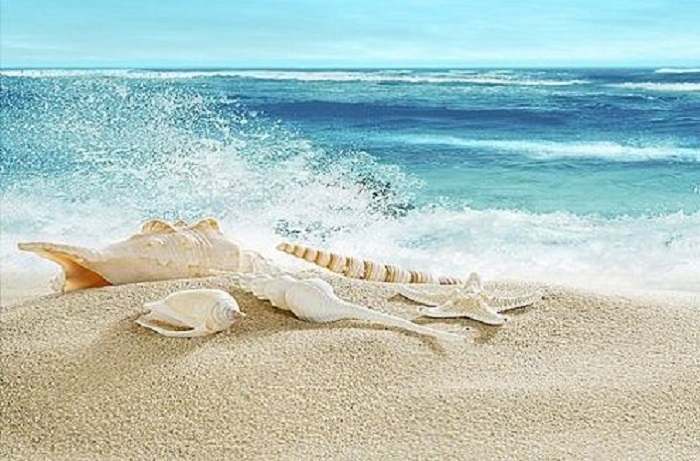 Mơ thấy biển đánh con gì dễ trúng nhất?