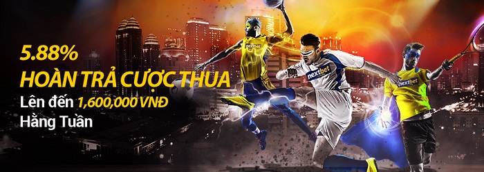 Hoàn tra cược thua cao