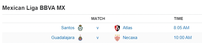 Mexican Liga BBVA MX