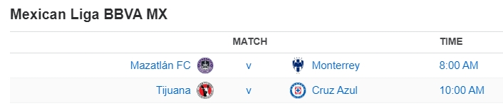 Mexican Liga BBVA MX