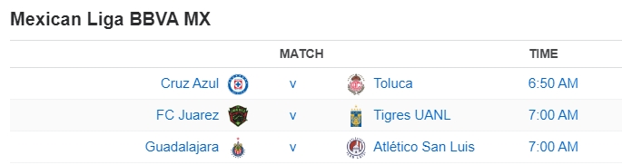 Mexican Liga BBVA MX